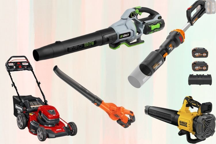 Best Battery Operated Leaf Blowers