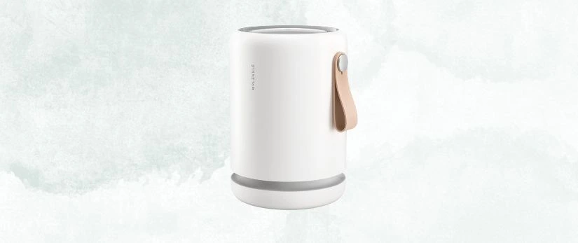 Molekule Air Mini+
